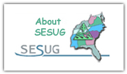 About SESUG